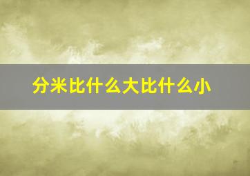 分米比什么大比什么小