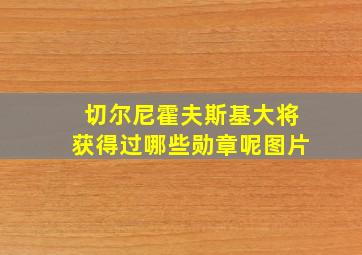 切尔尼霍夫斯基大将获得过哪些勋章呢图片