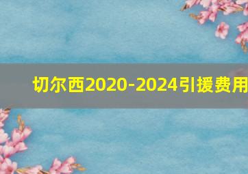 切尔西2020-2024引援费用