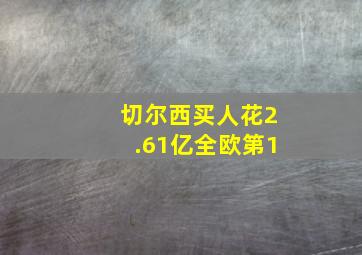 切尔西买人花2.61亿全欧第1