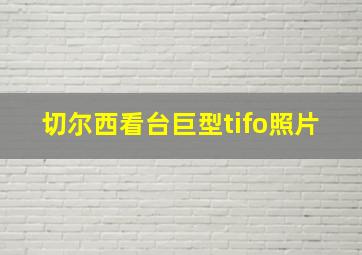 切尔西看台巨型tifo照片