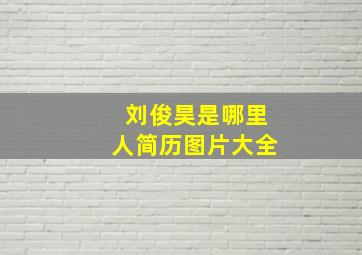 刘俊昊是哪里人简历图片大全