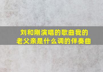 刘和刚演唱的歌曲我的老父亲是什么调的伴奏曲