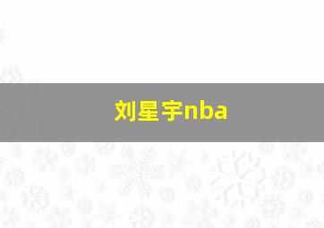 刘星宇nba