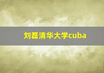 刘磊清华大学cuba