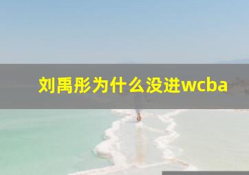 刘禹彤为什么没进wcba