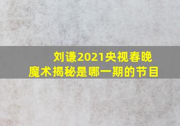 刘谦2021央视春晚魔术揭秘是哪一期的节目