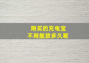 刚买的充电宝不用能放多久呢