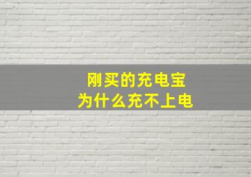 刚买的充电宝为什么充不上电