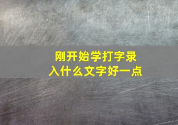 刚开始学打字录入什么文字好一点