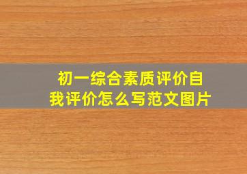 初一综合素质评价自我评价怎么写范文图片