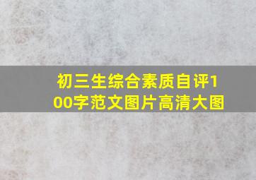 初三生综合素质自评100字范文图片高清大图