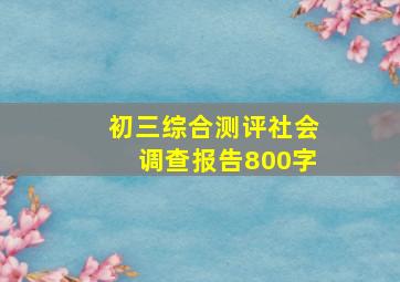 初三综合测评社会调查报告800字