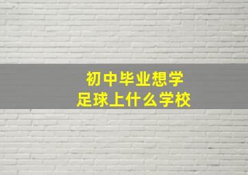 初中毕业想学足球上什么学校