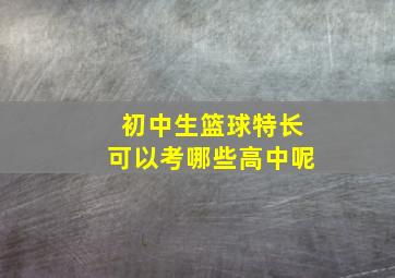 初中生篮球特长可以考哪些高中呢