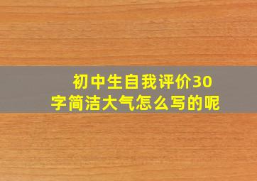 初中生自我评价30字简洁大气怎么写的呢