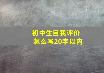 初中生自我评价怎么写20字以内