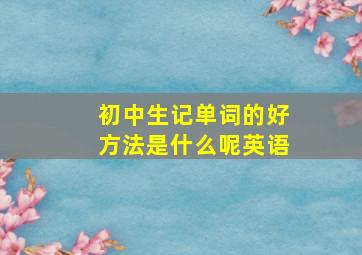 初中生记单词的好方法是什么呢英语