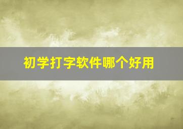 初学打字软件哪个好用