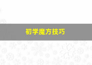 初学魔方技巧