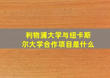 利物浦大学与纽卡斯尔大学合作项目是什么