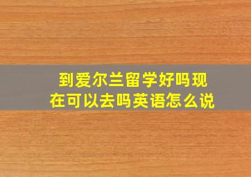 到爱尔兰留学好吗现在可以去吗英语怎么说