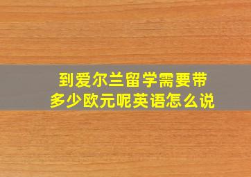 到爱尔兰留学需要带多少欧元呢英语怎么说