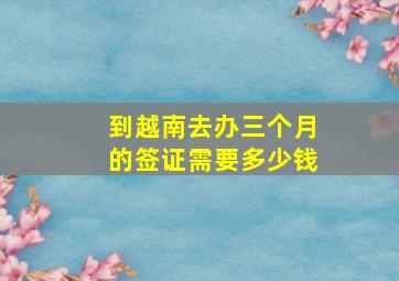 到越南去办三个月的签证需要多少钱