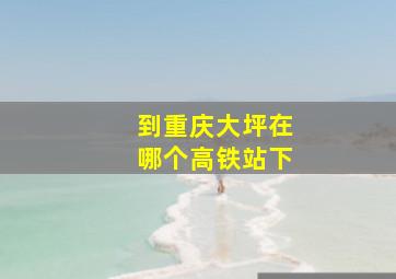 到重庆大坪在哪个高铁站下