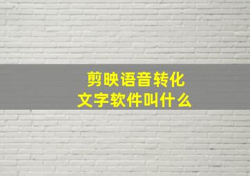 剪映语音转化文字软件叫什么