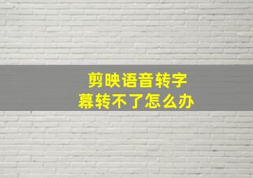 剪映语音转字幕转不了怎么办