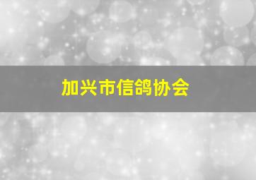 加兴市信鸽协会