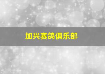 加兴赛鸽俱乐部