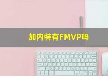 加内特有FMVP吗