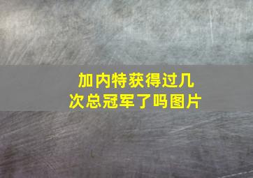 加内特获得过几次总冠军了吗图片