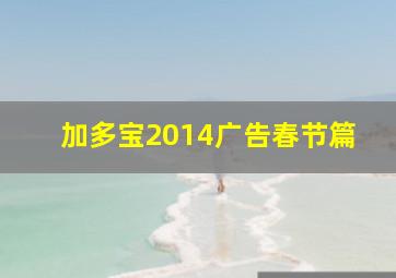 加多宝2014广告春节篇