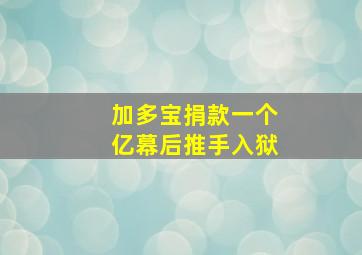 加多宝捐款一个亿幕后推手入狱