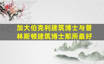 加大伯克利建筑博士与普林斯顿建筑博士那所最好