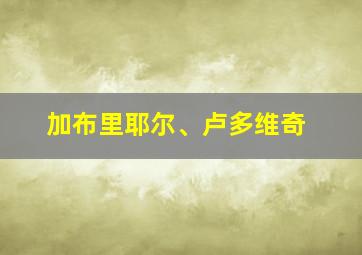 加布里耶尔、卢多维奇