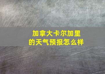 加拿大卡尔加里的天气预报怎么样