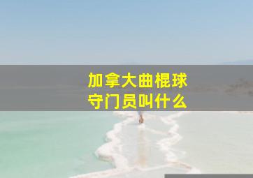 加拿大曲棍球守门员叫什么