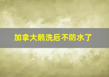 加拿大鹅洗后不防水了