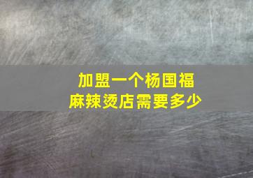 加盟一个杨国福麻辣烫店需要多少