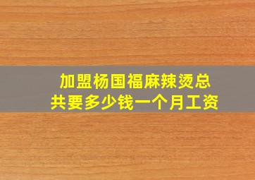 加盟杨国福麻辣烫总共要多少钱一个月工资