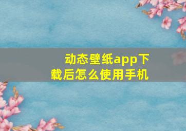 动态壁纸app下载后怎么使用手机