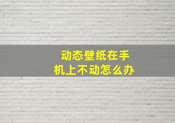 动态壁纸在手机上不动怎么办