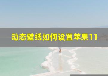 动态壁纸如何设置苹果11