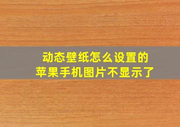 动态壁纸怎么设置的苹果手机图片不显示了