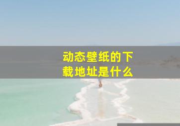 动态壁纸的下载地址是什么