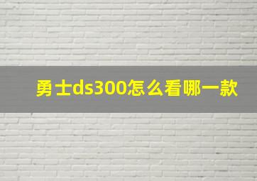 勇士ds300怎么看哪一款